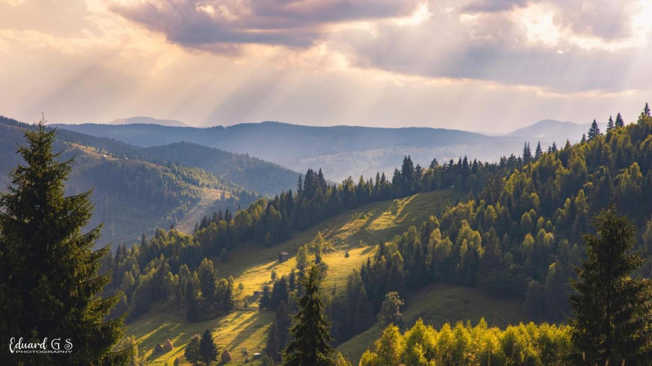 Pensiunea Viorica Fundu Moldovei Exteriér fotografie